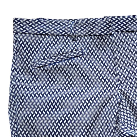 GAP Blue White Printed Cropped Ankle Skinny Pants Size 18 (Fit 16) - Picture 3 of 4